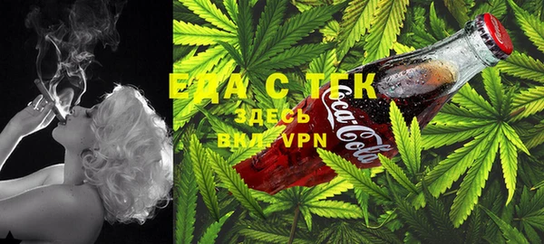ешки Елабуга
