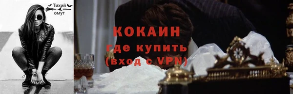 прущие крисы Ельня