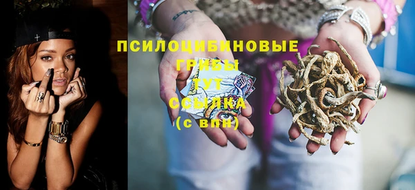 прущие крисы Ельня