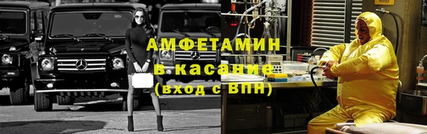 прущие крисы Ельня